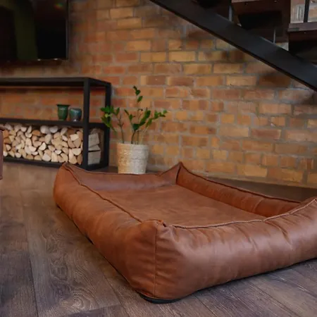 Apartment Andano.loft
